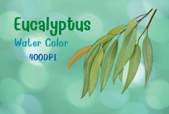 Download Eucalyptus Watercolor by Hand Draw - By hand Collection