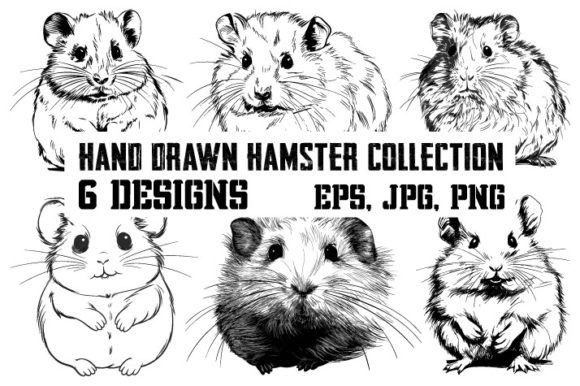 Download Collection of Hamster by Hand Drawn - By hand Collection